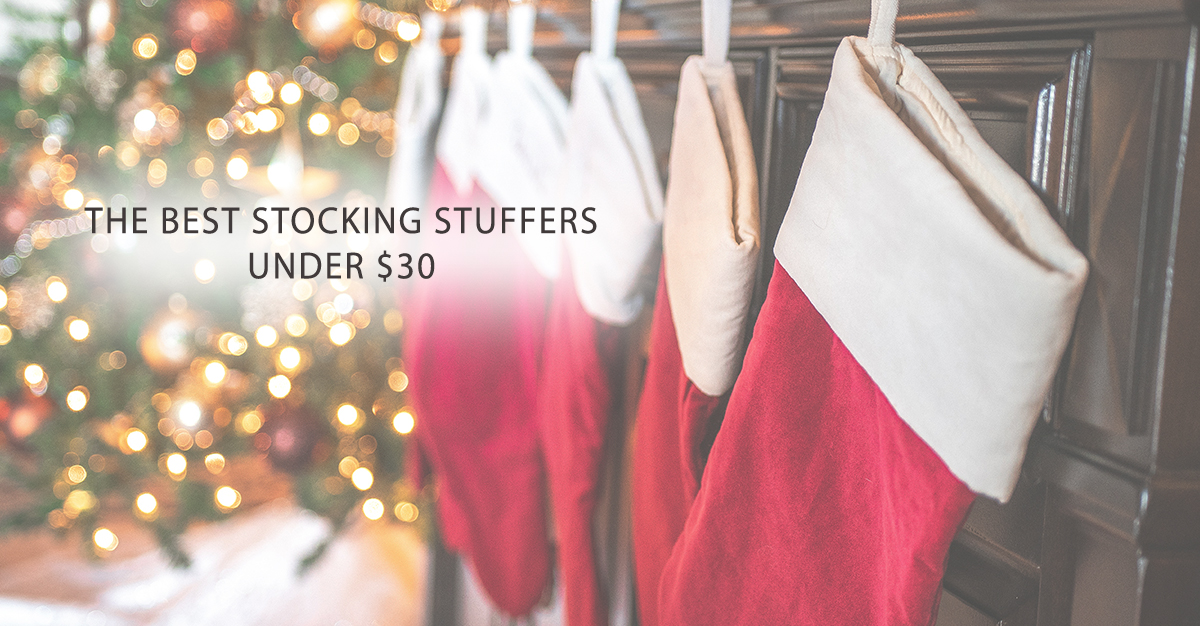 Best Stocking Stuffers Under $30 – Lively Craze